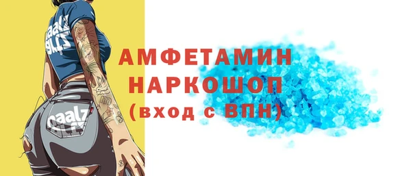 индика Алзамай