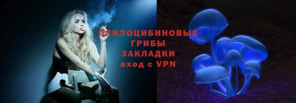 индика Алзамай