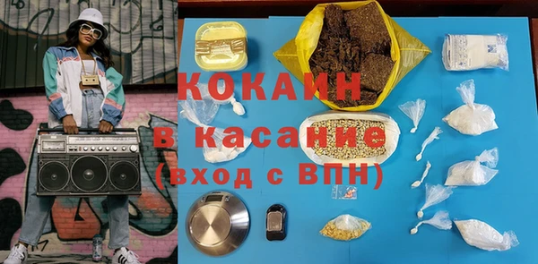 индика Алзамай