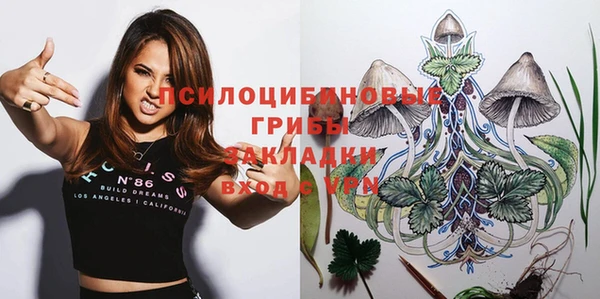 индика Алзамай