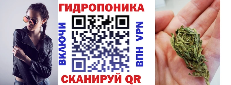дарнет шоп  Апшеронск  Марихуана план 